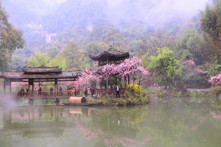 螨虫真的那么可怕吗游戏画面
