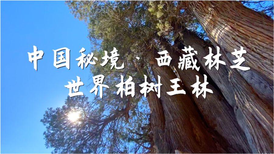 消灭方块挑战